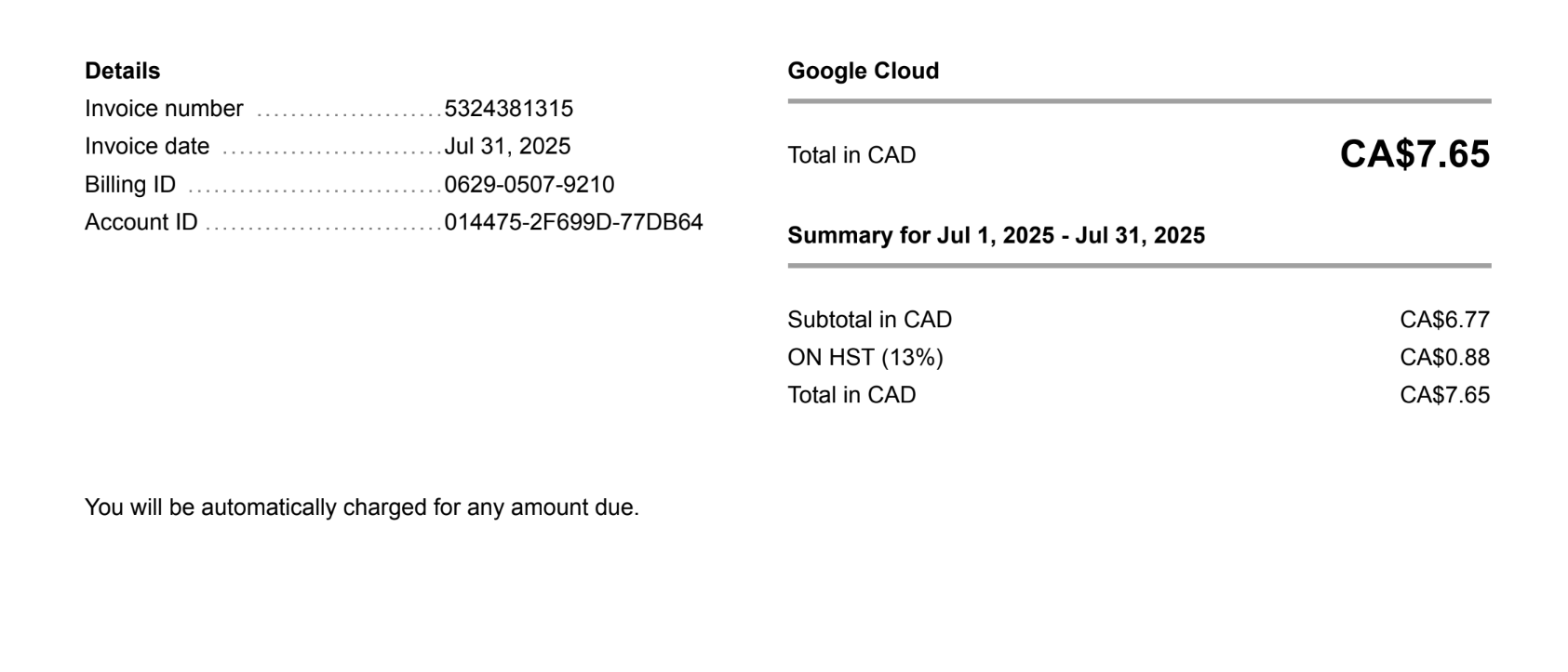 Screen Shot of my Bill